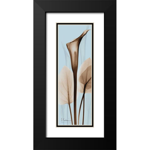 Flower 2 Black Modern Wood Framed Art Print with Double Matting by Koetsier, Albert