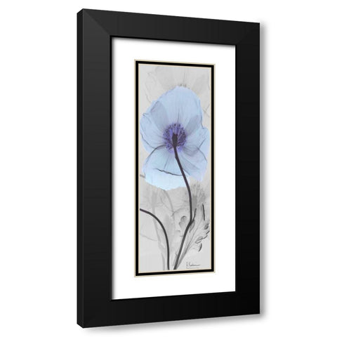 Iceland Poppy Black Modern Wood Framed Art Print with Double Matting by Koetsier, Albert