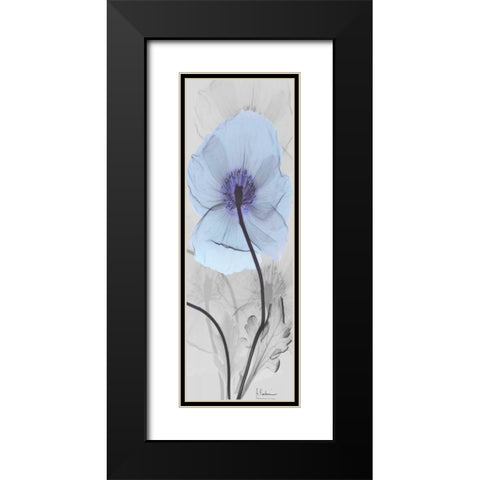 Iceland Poppy Black Modern Wood Framed Art Print with Double Matting by Koetsier, Albert