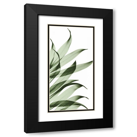 Song of India I295 Black Modern Wood Framed Art Print with Double Matting by Koetsier, Albert