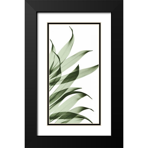 Song of India I295 Black Modern Wood Framed Art Print with Double Matting by Koetsier, Albert