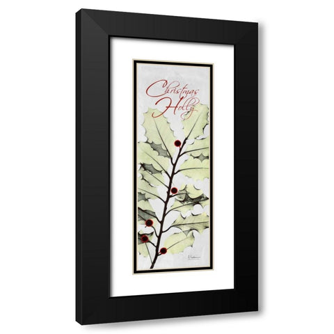 Christmas Calla Lily Black Modern Wood Framed Art Print with Double Matting by Koetsier, Albert