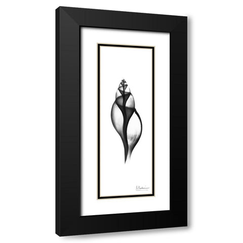 Tulip Shell Black Modern Wood Framed Art Print with Double Matting by Koetsier, Albert