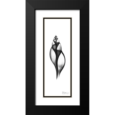 Tulip Shell Black Modern Wood Framed Art Print with Double Matting by Koetsier, Albert