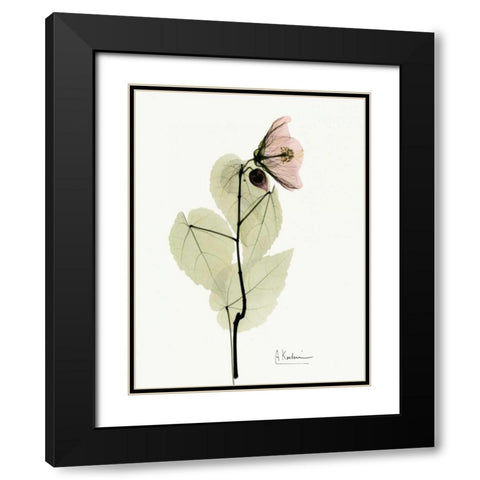 Abutulon Black Modern Wood Framed Art Print with Double Matting by Koetsier, Albert