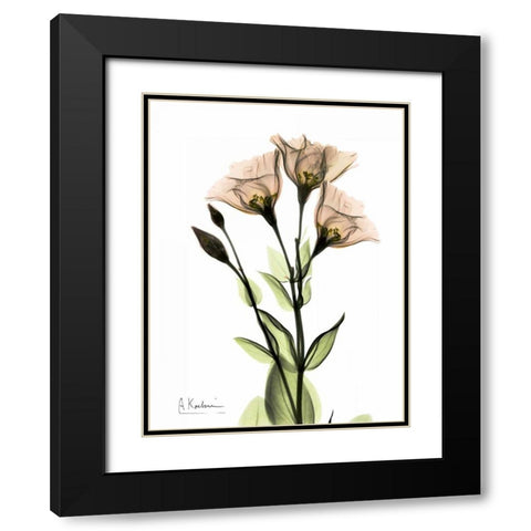 Gentian 3 Black Modern Wood Framed Art Print with Double Matting by Koetsier, Albert