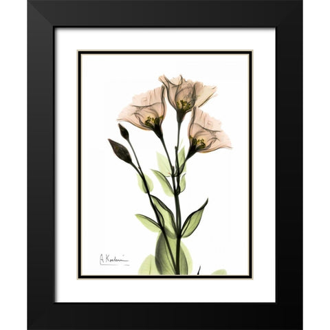 Gentian 3 Black Modern Wood Framed Art Print with Double Matting by Koetsier, Albert