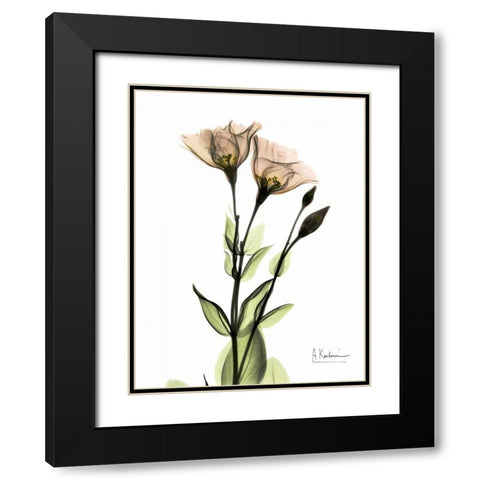 Gentian 2 Black Modern Wood Framed Art Print with Double Matting by Koetsier, Albert