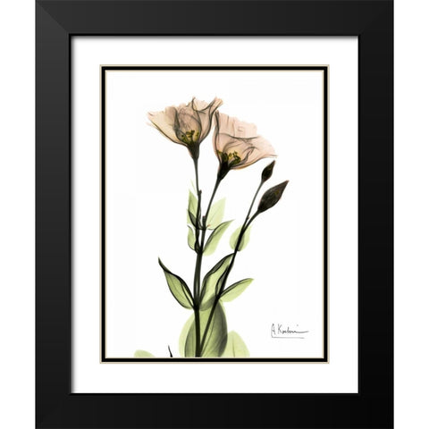 Gentian 2 Black Modern Wood Framed Art Print with Double Matting by Koetsier, Albert