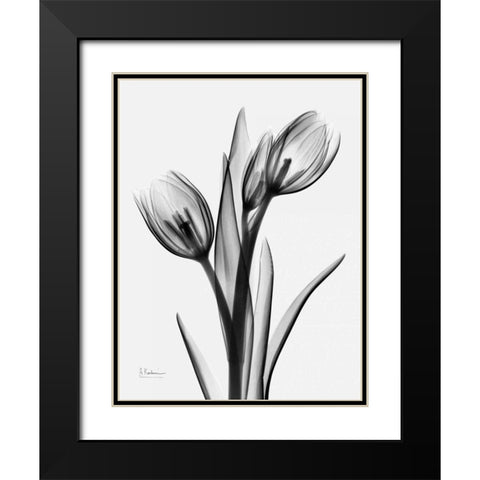 Tulips H37 Black Modern Wood Framed Art Print with Double Matting by Koetsier, Albert