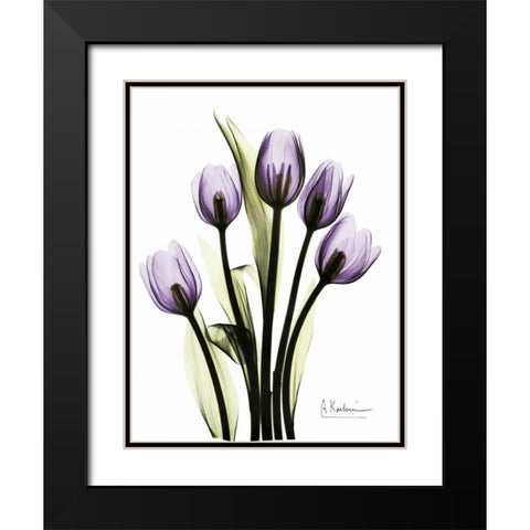 Regal Tulip B13 Black Modern Wood Framed Art Print with Double Matting by Koetsier, Albert