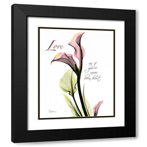 Calla Lily in Pink - Love Black Modern Wood Framed Art Print with Double Matting by Koetsier, Albert