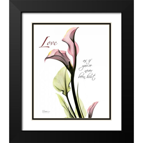 Calla Lily in Pink - Love Black Modern Wood Framed Art Print with Double Matting by Koetsier, Albert