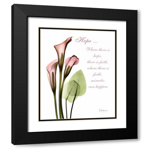 Calla Lily in Pink - Hope Black Modern Wood Framed Art Print with Double Matting by Koetsier, Albert