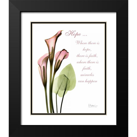 Calla Lily in Pink - Hope Black Modern Wood Framed Art Print with Double Matting by Koetsier, Albert