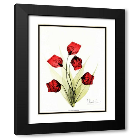 Sandersonia in Red 2 Black Modern Wood Framed Art Print with Double Matting by Koetsier, Albert