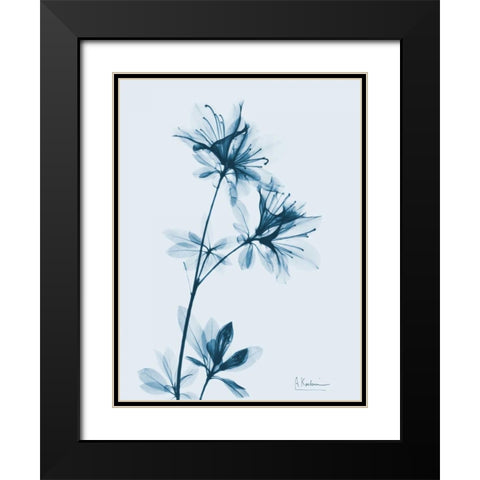 Azalea in Blue Black Modern Wood Framed Art Print with Double Matting by Koetsier, Albert