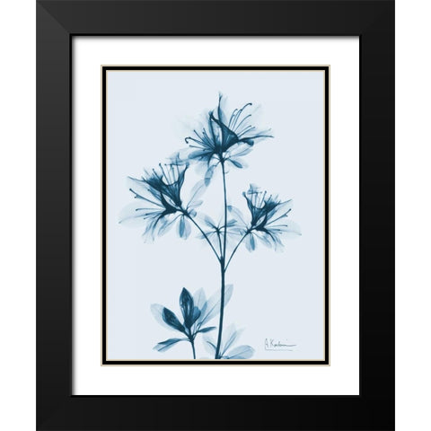 Azalea in Blue 2 Black Modern Wood Framed Art Print with Double Matting by Koetsier, Albert