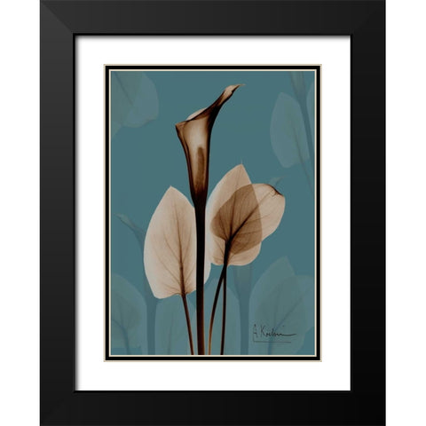 Fields of Blue I Black Modern Wood Framed Art Print with Double Matting by Koetsier, Albert