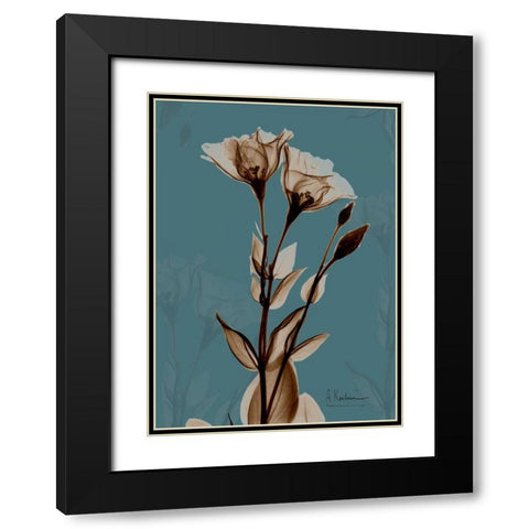 Fields of Blue II Black Modern Wood Framed Art Print with Double Matting by Koetsier, Albert