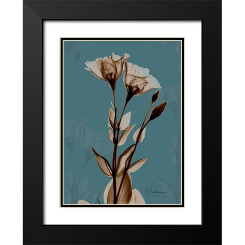 Fields of Blue II Black Modern Wood Framed Art Print with Double Matting by Koetsier, Albert