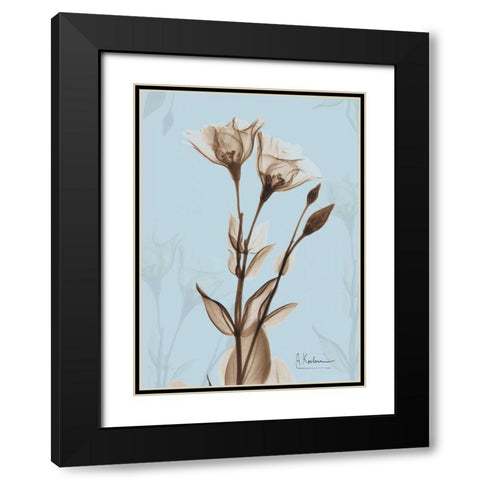 Tulips Brown on Blue Black Modern Wood Framed Art Print with Double Matting by Koetsier, Albert