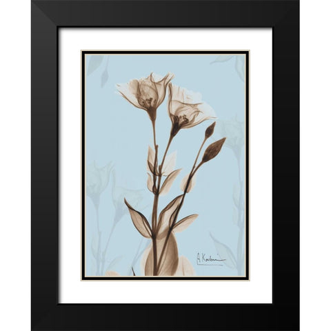 Tulips Brown on Blue Black Modern Wood Framed Art Print with Double Matting by Koetsier, Albert