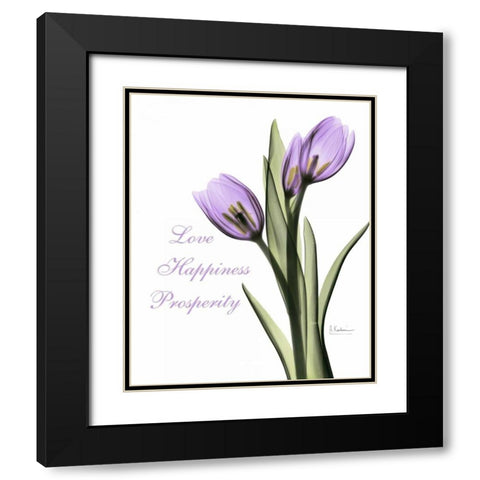 Purple Tulips Love Happiness Black Modern Wood Framed Art Print with Double Matting by Koetsier, Albert