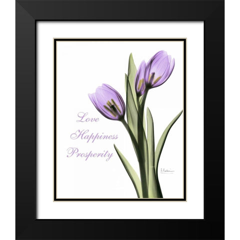 Purple Tulips Love Happiness Black Modern Wood Framed Art Print with Double Matting by Koetsier, Albert