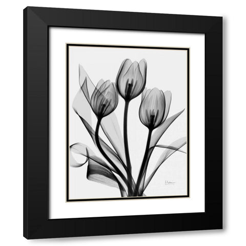 Tulips Black Modern Wood Framed Art Print with Double Matting by Koetsier, Albert