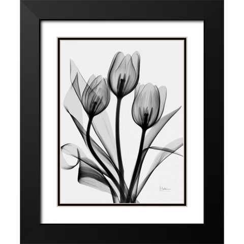 Tulips Black Modern Wood Framed Art Print with Double Matting by Koetsier, Albert