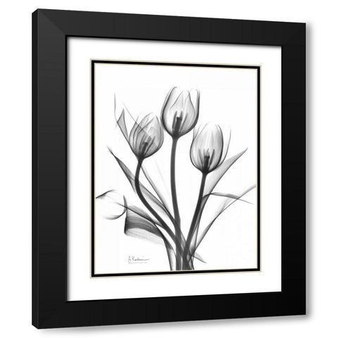 Tulips Bunch in BandW Black Modern Wood Framed Art Print with Double Matting by Koetsier, Albert