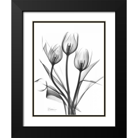 Tulips Bunch in BandW Black Modern Wood Framed Art Print with Double Matting by Koetsier, Albert