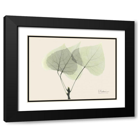 Aspen on Beige Black Modern Wood Framed Art Print with Double Matting by Koetsier, Albert