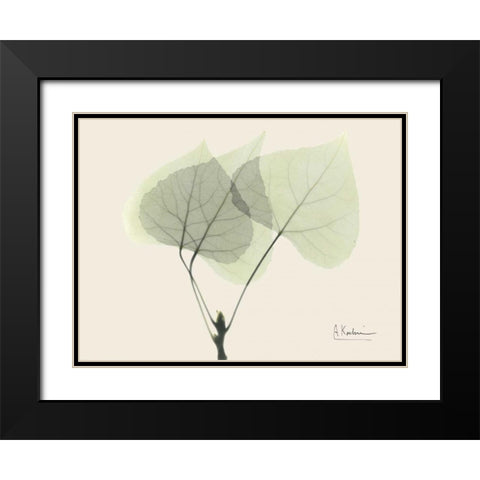 Aspen on Beige Black Modern Wood Framed Art Print with Double Matting by Koetsier, Albert