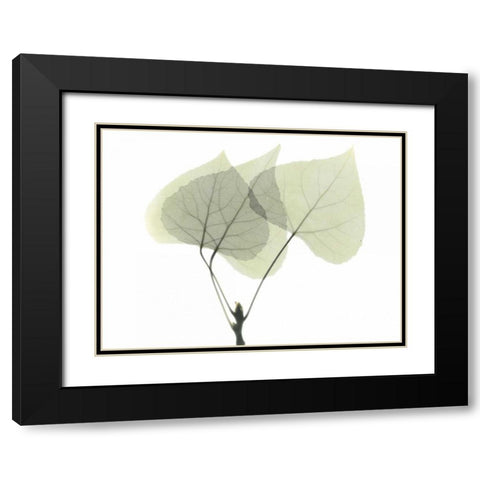 Aspen Black Modern Wood Framed Art Print with Double Matting by Koetsier, Albert