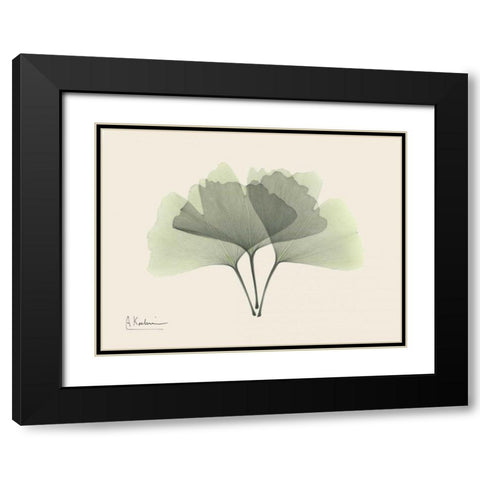 Ginkgo on Beige Black Modern Wood Framed Art Print with Double Matting by Koetsier, Albert