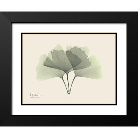 Ginkgo on Beige Black Modern Wood Framed Art Print with Double Matting by Koetsier, Albert