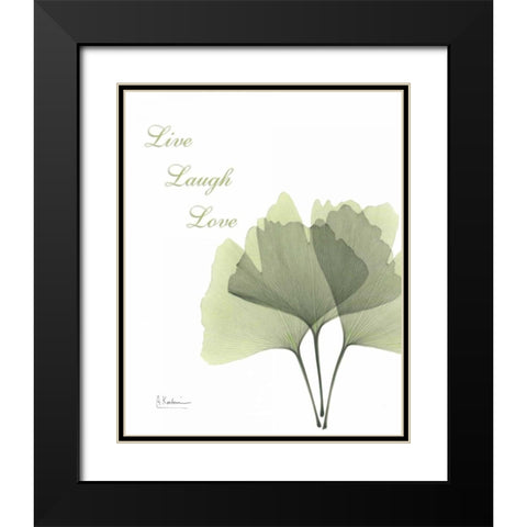 Ginkgo - Live Black Modern Wood Framed Art Print with Double Matting by Koetsier, Albert