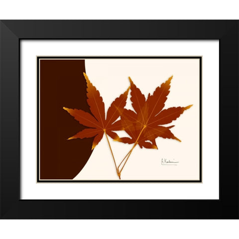 Japanese Maple on Brown and Beige Black Modern Wood Framed Art Print with Double Matting by Koetsier, Albert