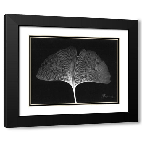 Ginkgo Single Leaf  Close Up on Black Black Modern Wood Framed Art Print with Double Matting by Koetsier, Albert