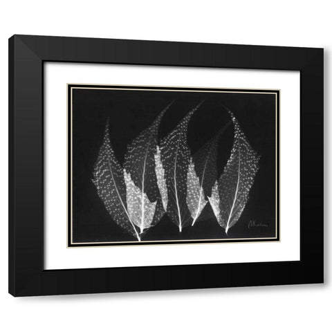 Japanese Ferns Close Up on Black Black Modern Wood Framed Art Print with Double Matting by Koetsier, Albert