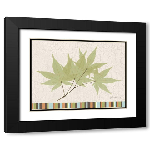 Trimmed Maple Black Modern Wood Framed Art Print with Double Matting by Koetsier, Albert