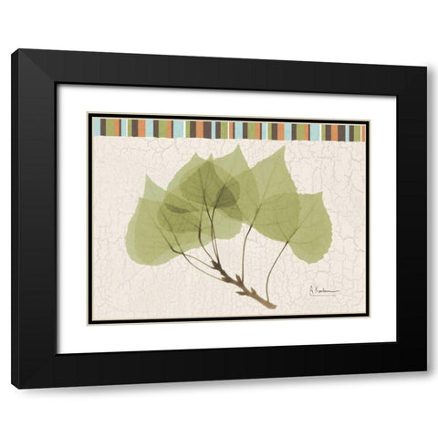 Trimmed Aspen Black Modern Wood Framed Art Print with Double Matting by Koetsier, Albert