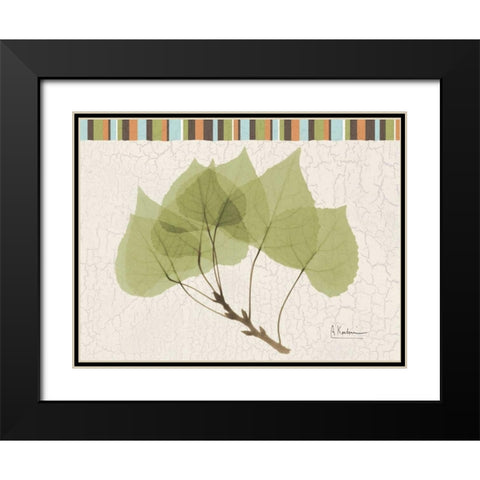 Trimmed Aspen Black Modern Wood Framed Art Print with Double Matting by Koetsier, Albert