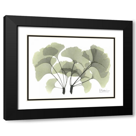 Ginkgo in Green Black Modern Wood Framed Art Print with Double Matting by Koetsier, Albert