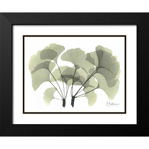 Ginkgo in Green Black Modern Wood Framed Art Print with Double Matting by Koetsier, Albert