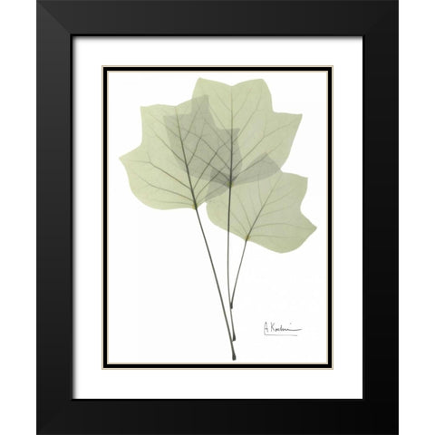 Tulip Tree in Green Black Modern Wood Framed Art Print with Double Matting by Koetsier, Albert