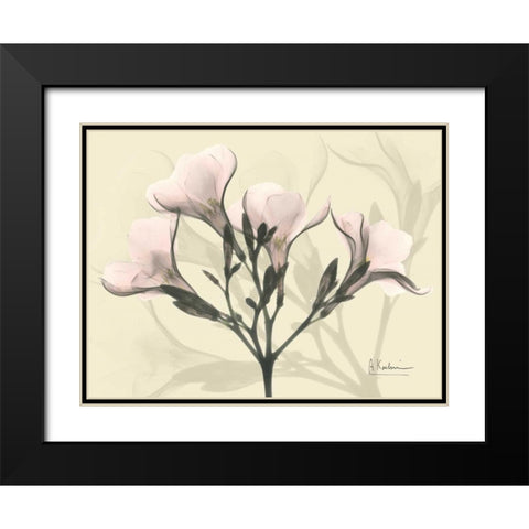 Oleander in Pink on Beige Black Modern Wood Framed Art Print with Double Matting by Koetsier, Albert