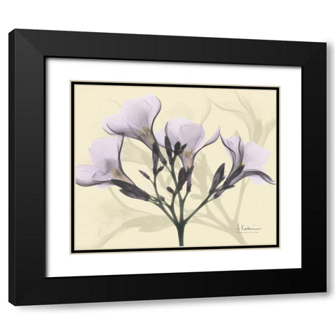 Oleander in Purple on Beige Black Modern Wood Framed Art Print with Double Matting by Koetsier, Albert